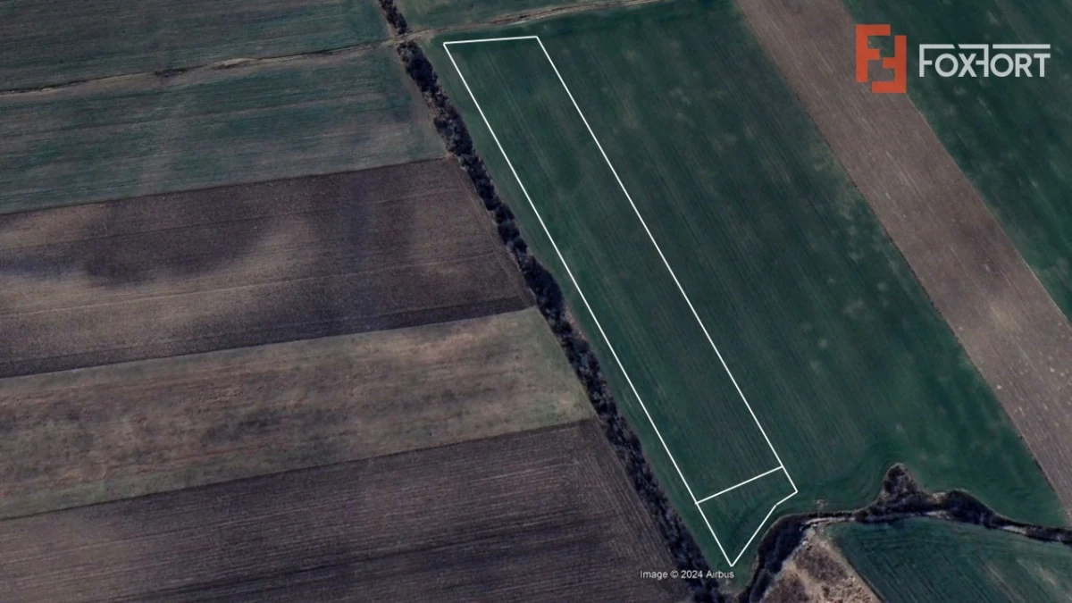 Teren intravilan in Sacalaz - Oportunitate de investitie - 3