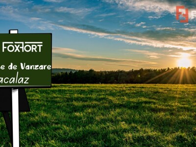 Teren intravilan in Sacalaz - Oportunitate de investitie