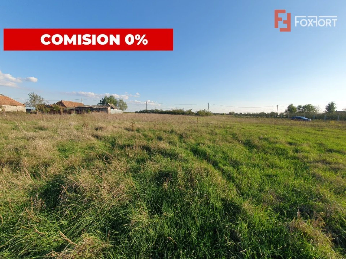 Teren intravilan de 3346 mp cu 2 fronturi - Jebel - 5