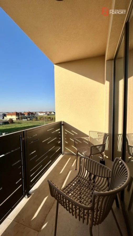 Apartament cu 2 camere, mobilat si utilat, etaj 1 - Dumbravita - 10