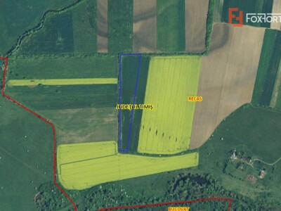 Teren extravilan agricol de 23.700 mp - Recas - Izvin