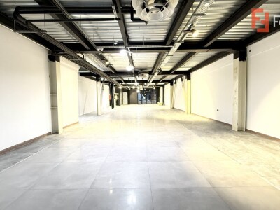 Showroom premium pe 2 nivele 560 mp, in zona Lipovei