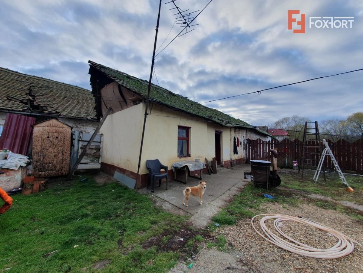 Teren intravilan de 1300 mp, Asfalt - Jebel - 6