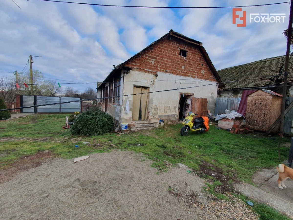 Teren intravilan de 1300 mp, Asfalt - Jebel - 5