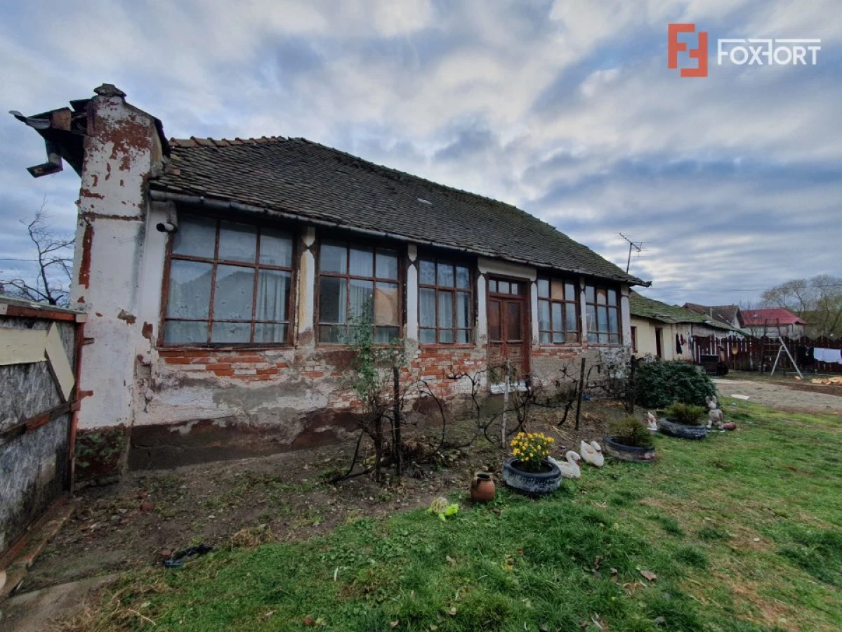 Teren intravilan de 1300 mp, Asfalt - Jebel - 4