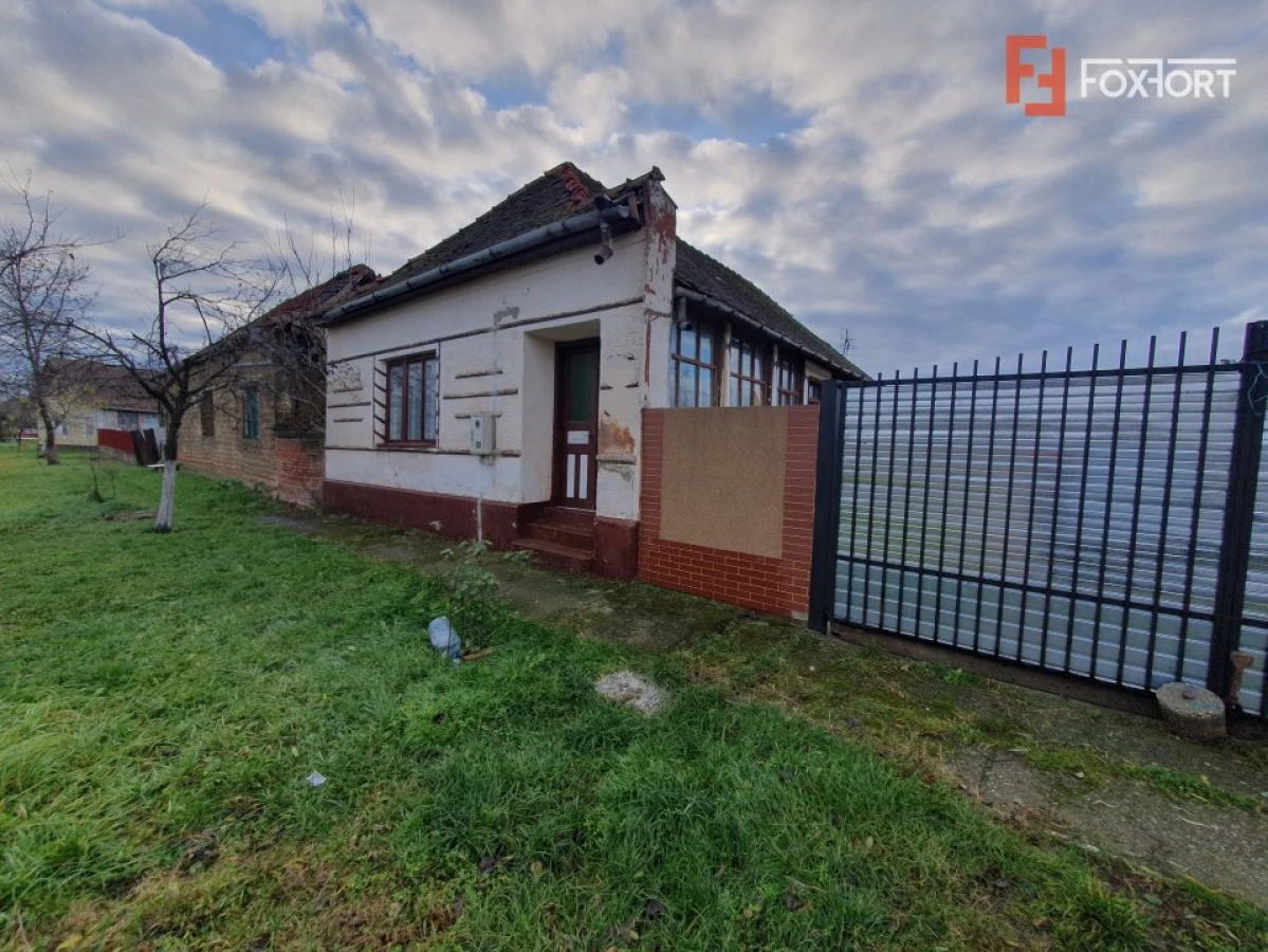 Teren intravilan de 1300 mp, Asfalt - Jebel - 3