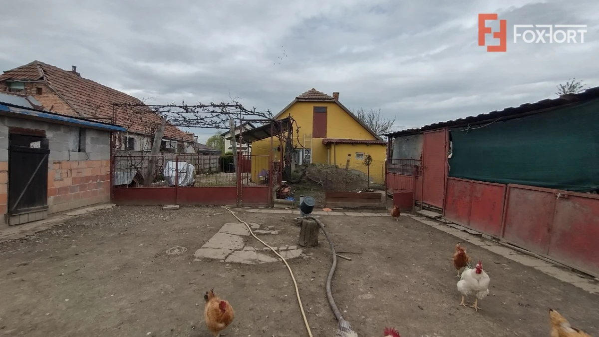 Casa individuala 3 camere, Sanmihaiu Roman - Anexe, 1062 mp teren - 10