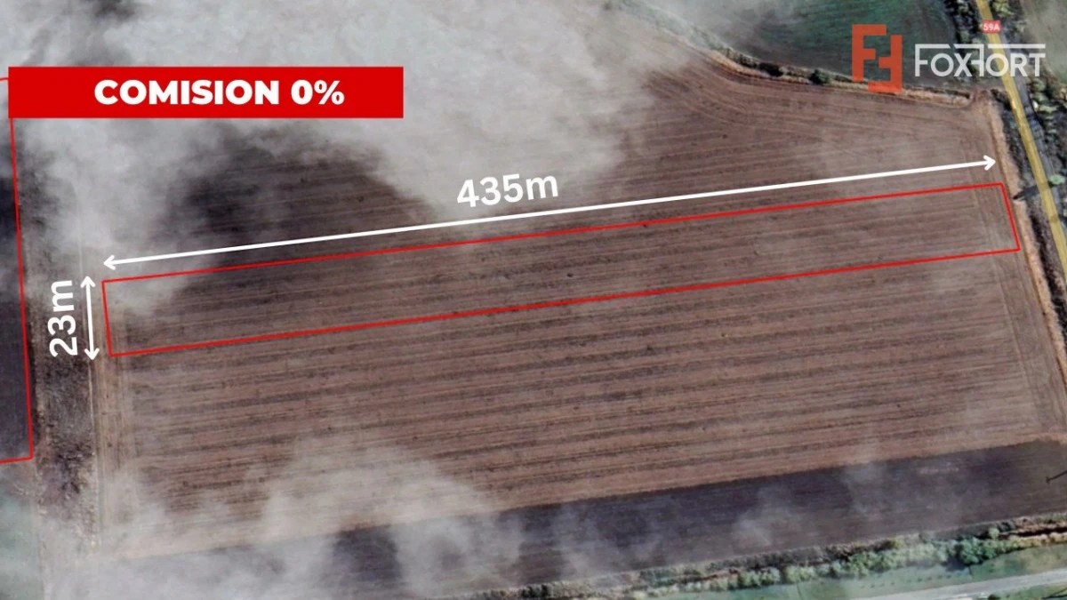 COMISION 0% Teren extravilan agricol 1 ha, Beregsau Mare - Pozitionare excelenta - 1