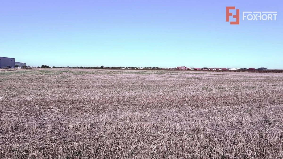 COMISION 0% Teren extravilan 40.000 mp - zona Sanandrei - 4