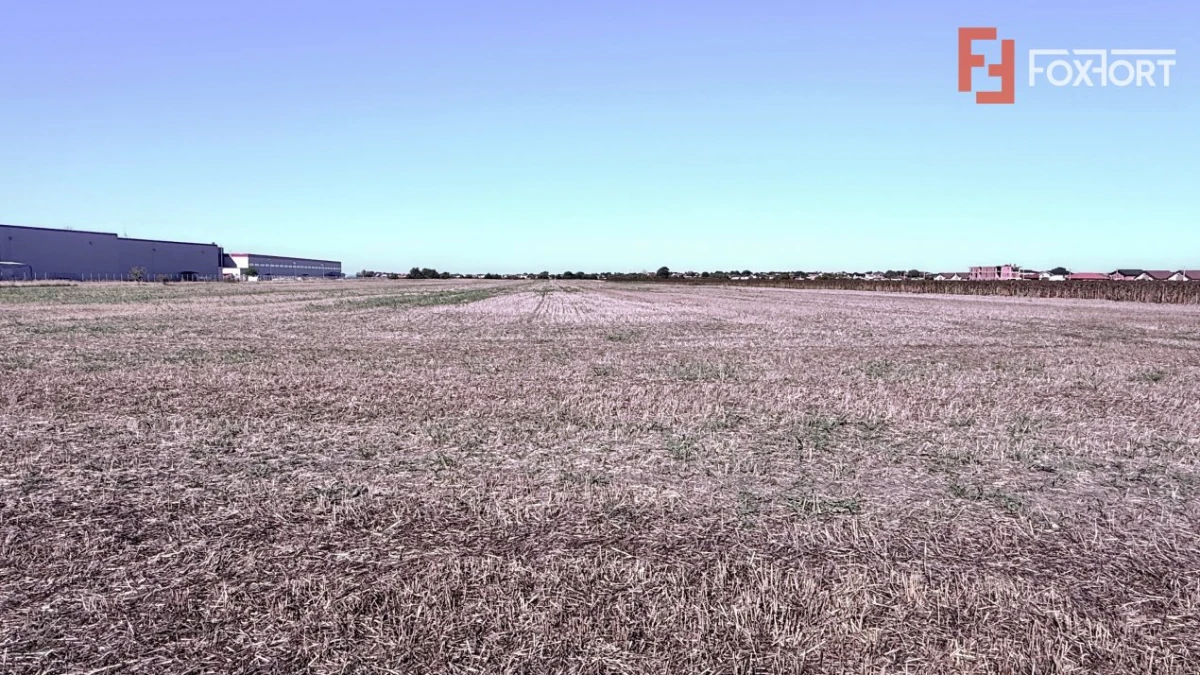 COMISION 0% Teren extravilan 40.000 mp - zona Sanandrei - 3