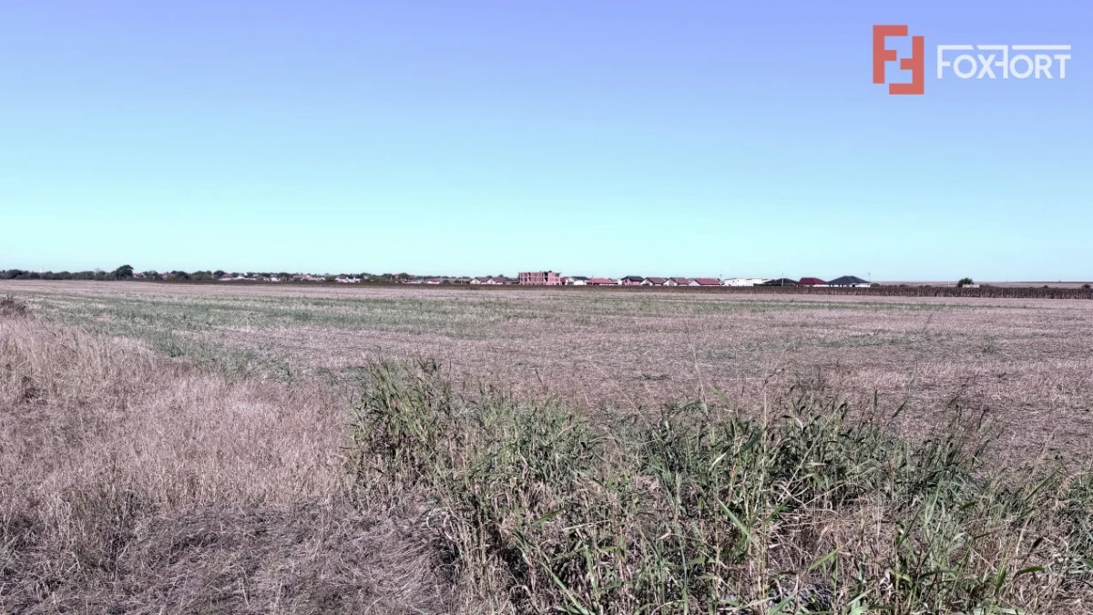 COMISION 0% Teren extravilan 40.000 mp - zona Sanandrei - 2