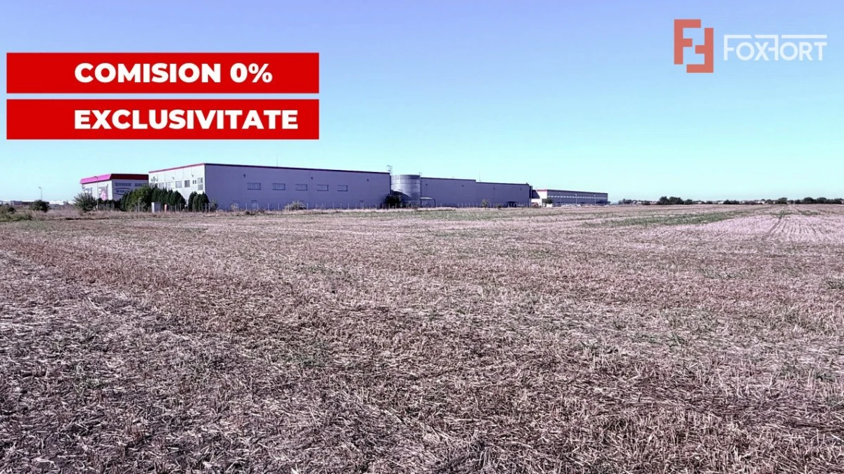 COMISION 0% Teren extravilan 40.000 mp - zona Sanandrei - 1