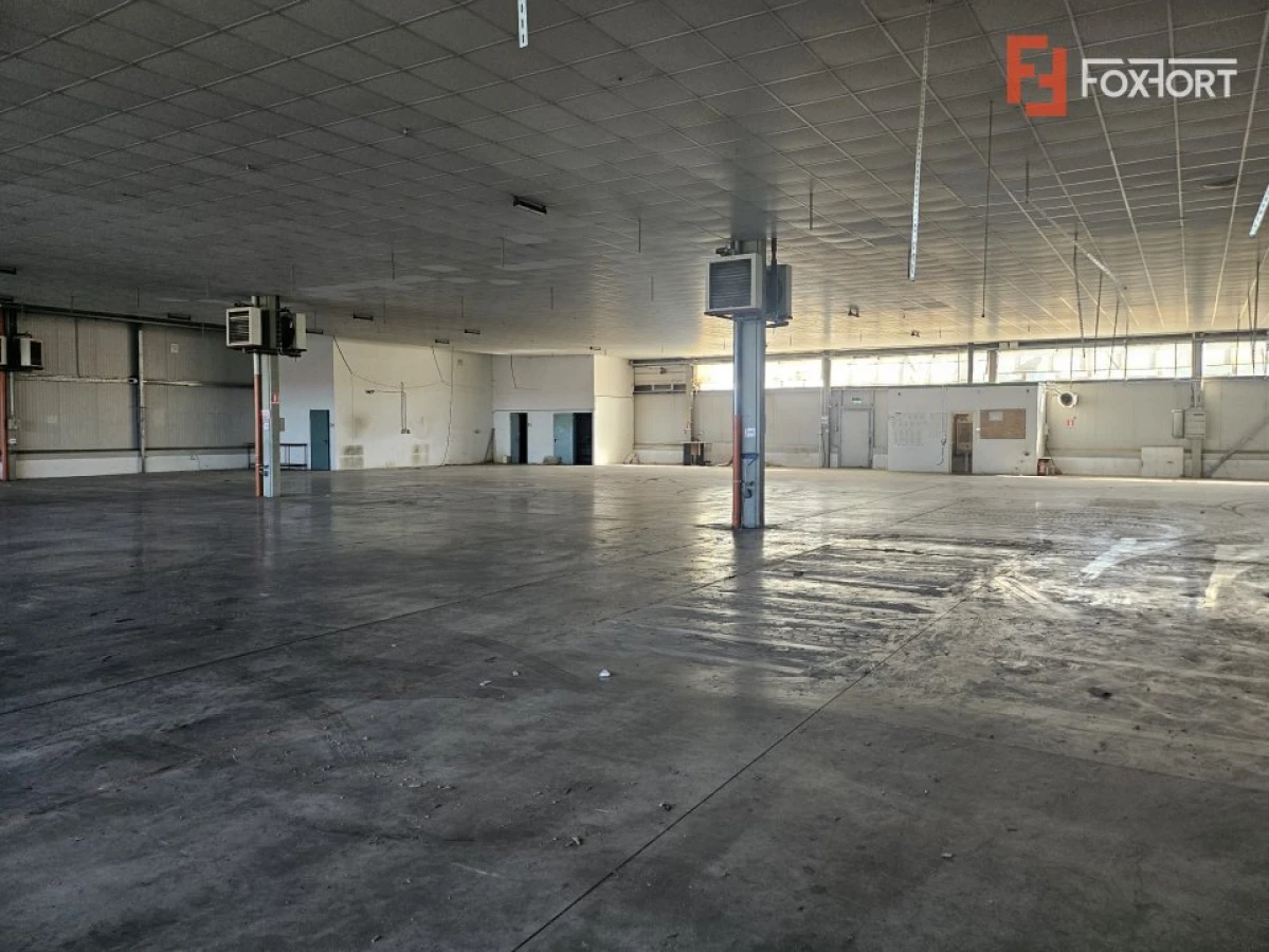 COMISION 0% Spatiu depozitare 1400 mp de inchiriat, zona Calea Lugojului - 3