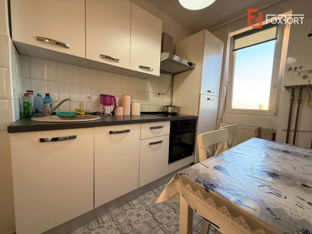 Apartament cu 2 camere de vanzare in Timisoara, zona Garii - 7