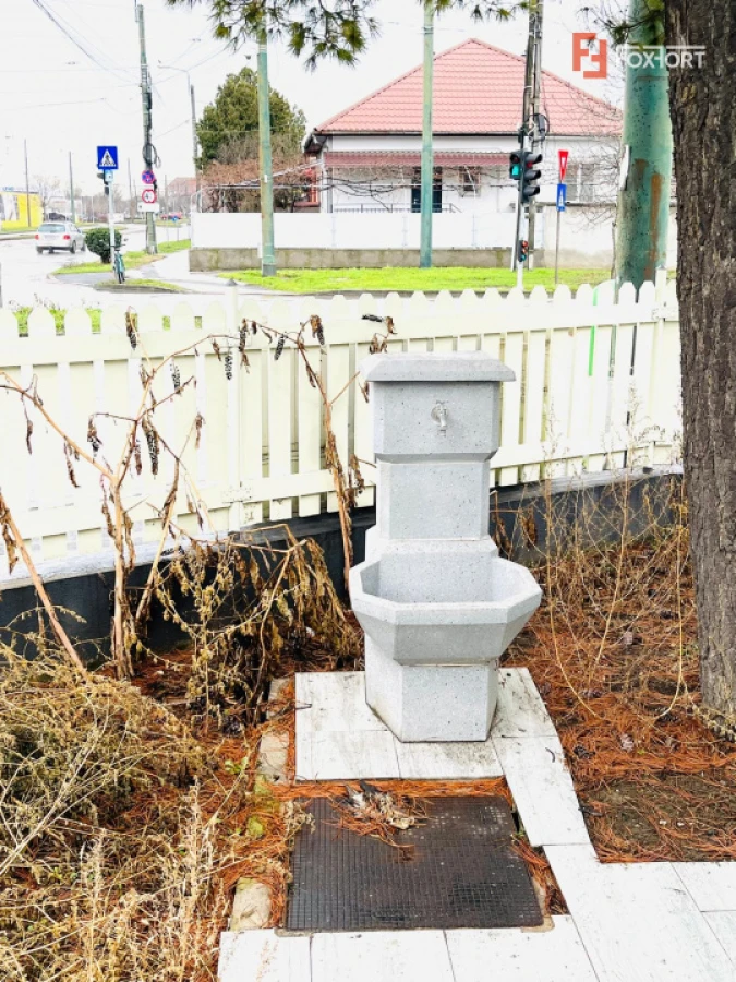 Spatiu comercial si terasa cu casa de locuit - zona Dambovita - 6