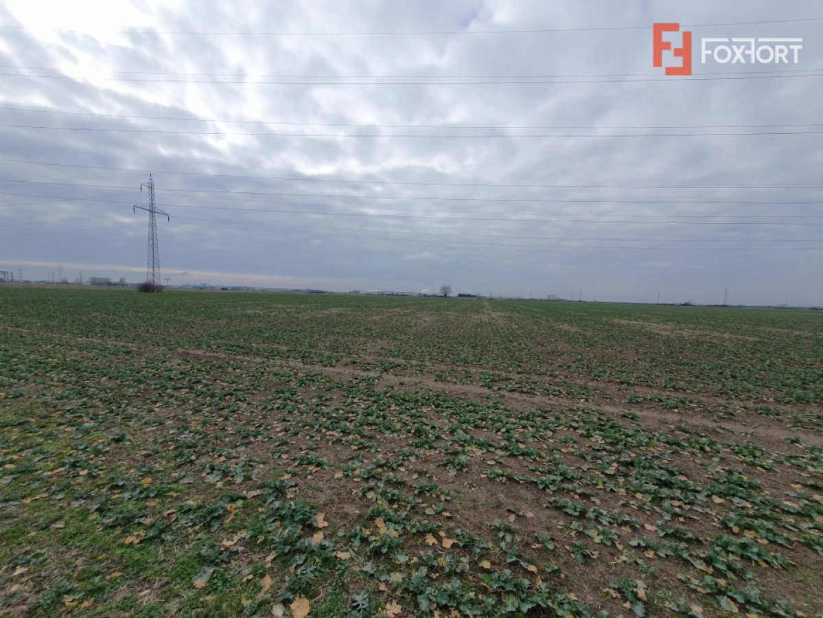 Teren extravilan pretabil constructii industriale - zona Calea Sagului - 3