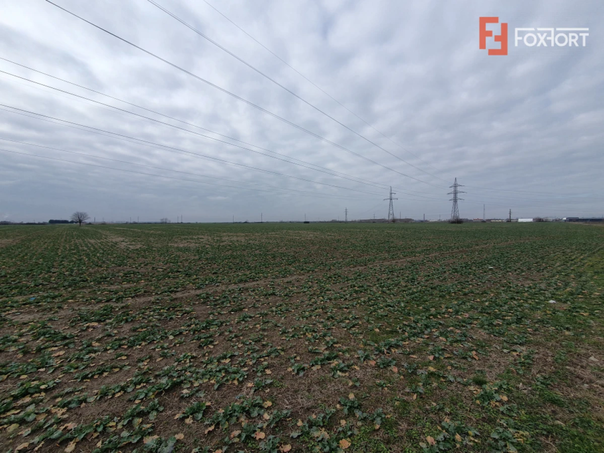 Teren extravilan pretabil constructii industriale - zona Calea Sagului - 2