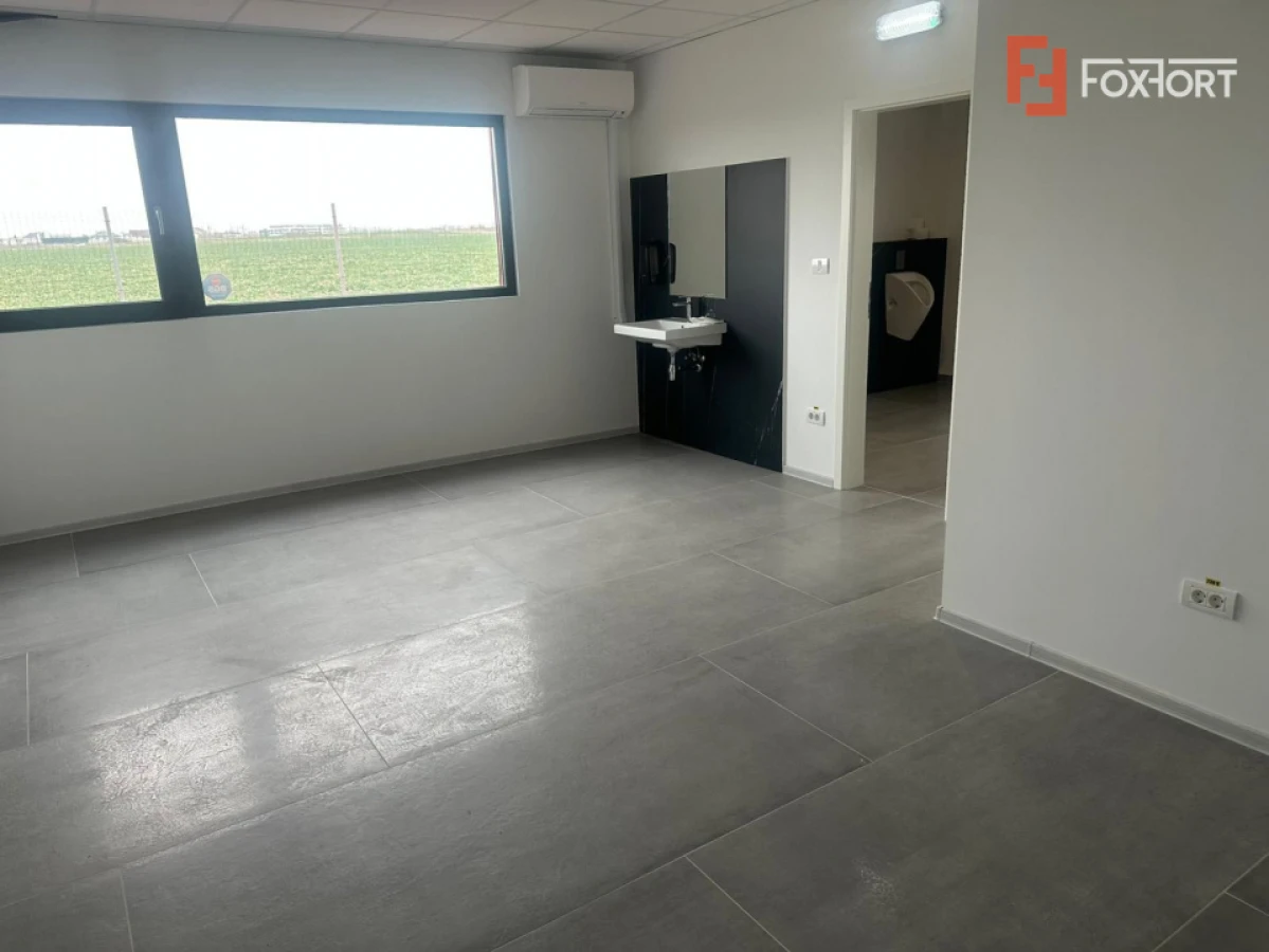 Hala industriala 500 mp + birouri, 1398 mp teren, acces TIR - Giarmata Vii - 9