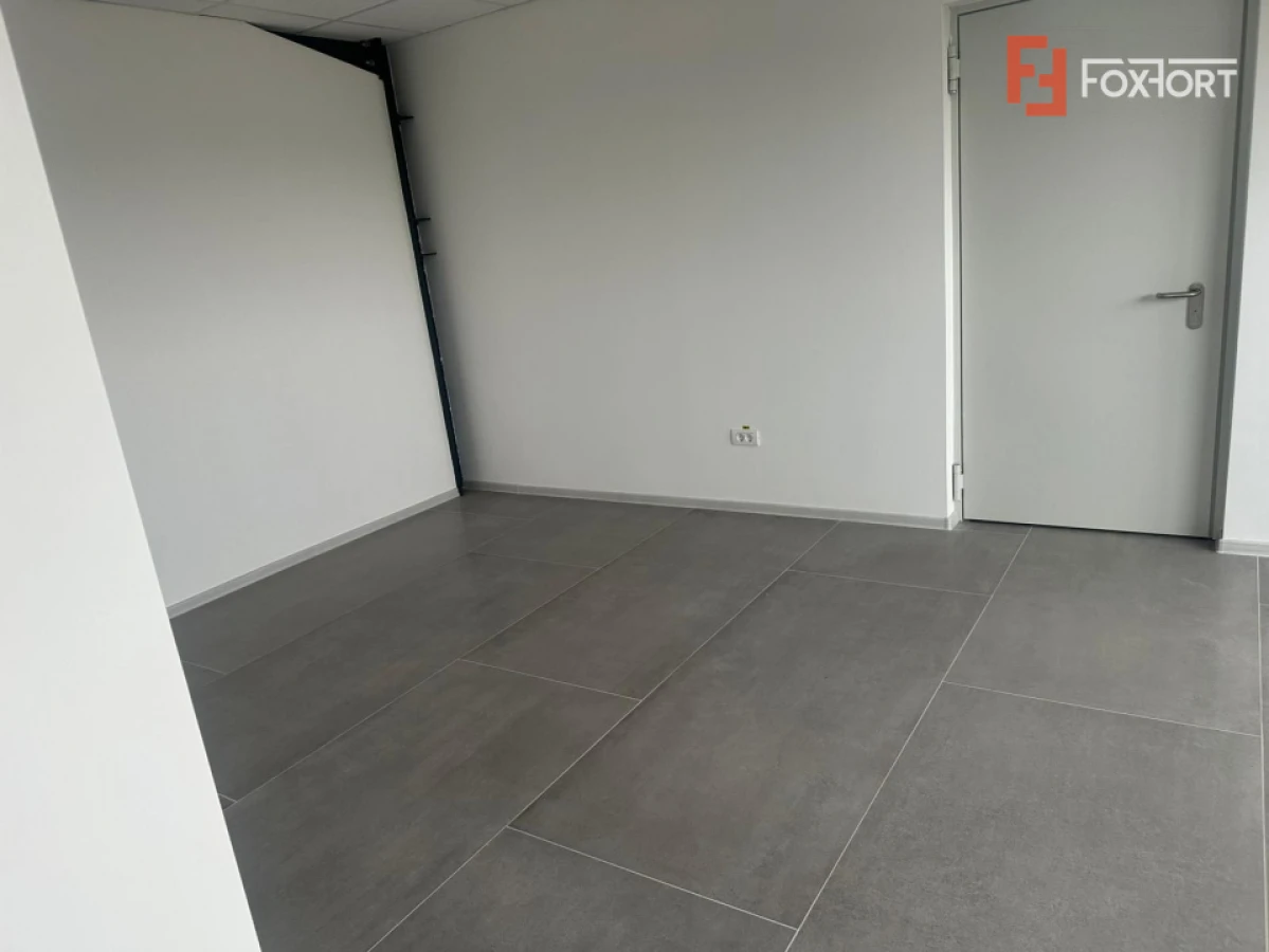 Hala industriala 500 mp + birouri, 1398 mp teren, acces TIR - Giarmata Vii - 8