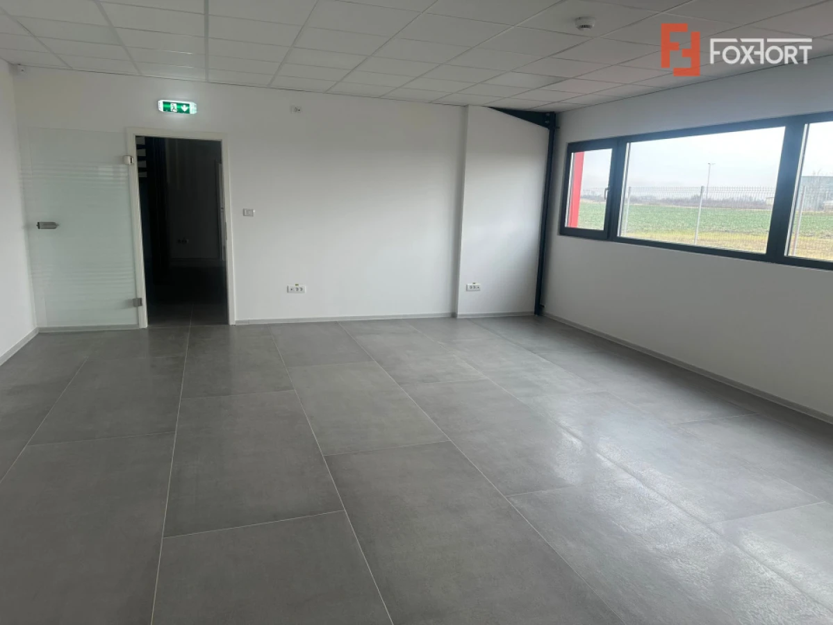 Hala industriala 500 mp + birouri, 1398 mp teren, acces TIR - Giarmata Vii - 6
