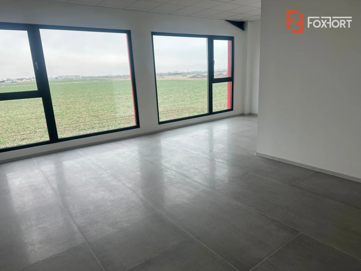 Hala industriala 500 mp + birouri, 1398 mp teren, acces TIR - Giarmata Vii - 5