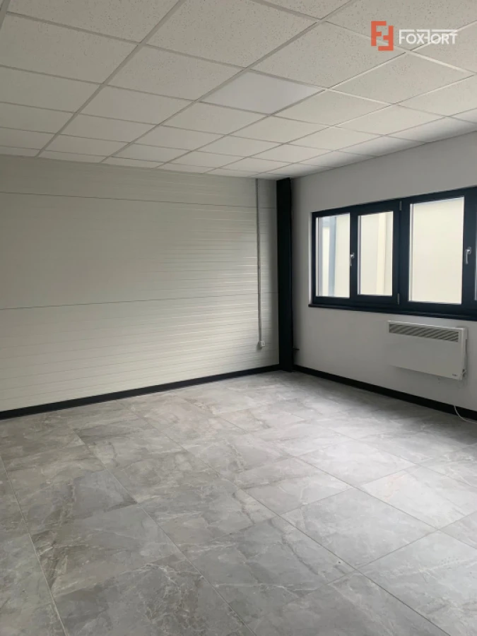 Hala industriala 500 mp + birouri, 1398 mp teren, acces TIR - Giarmata Vii - 3