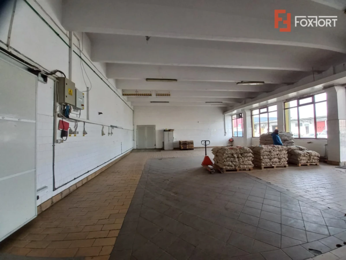 Hala industriala 1.411 mp, teren 2.068 mp - Acces TIR, Freidorf - 7