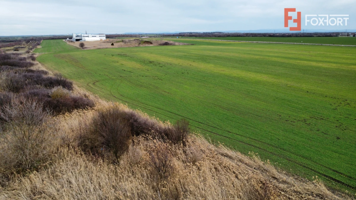 Teren industrial de vanzare de 25.000 mp, zona Deta - 8