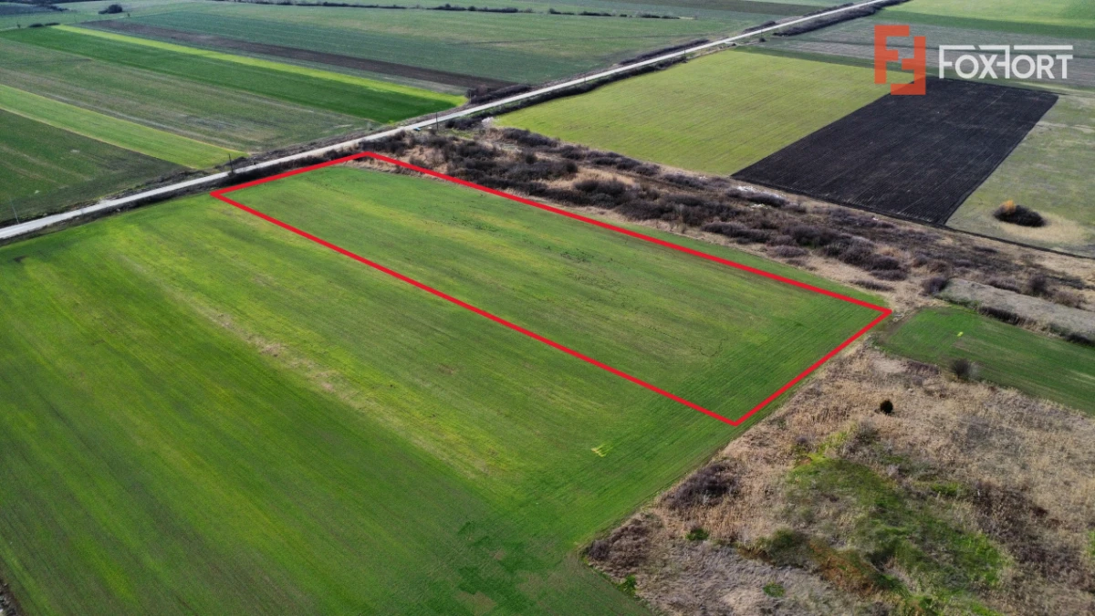 Teren industrial de vanzare de 25.000 mp, zona Deta - 4