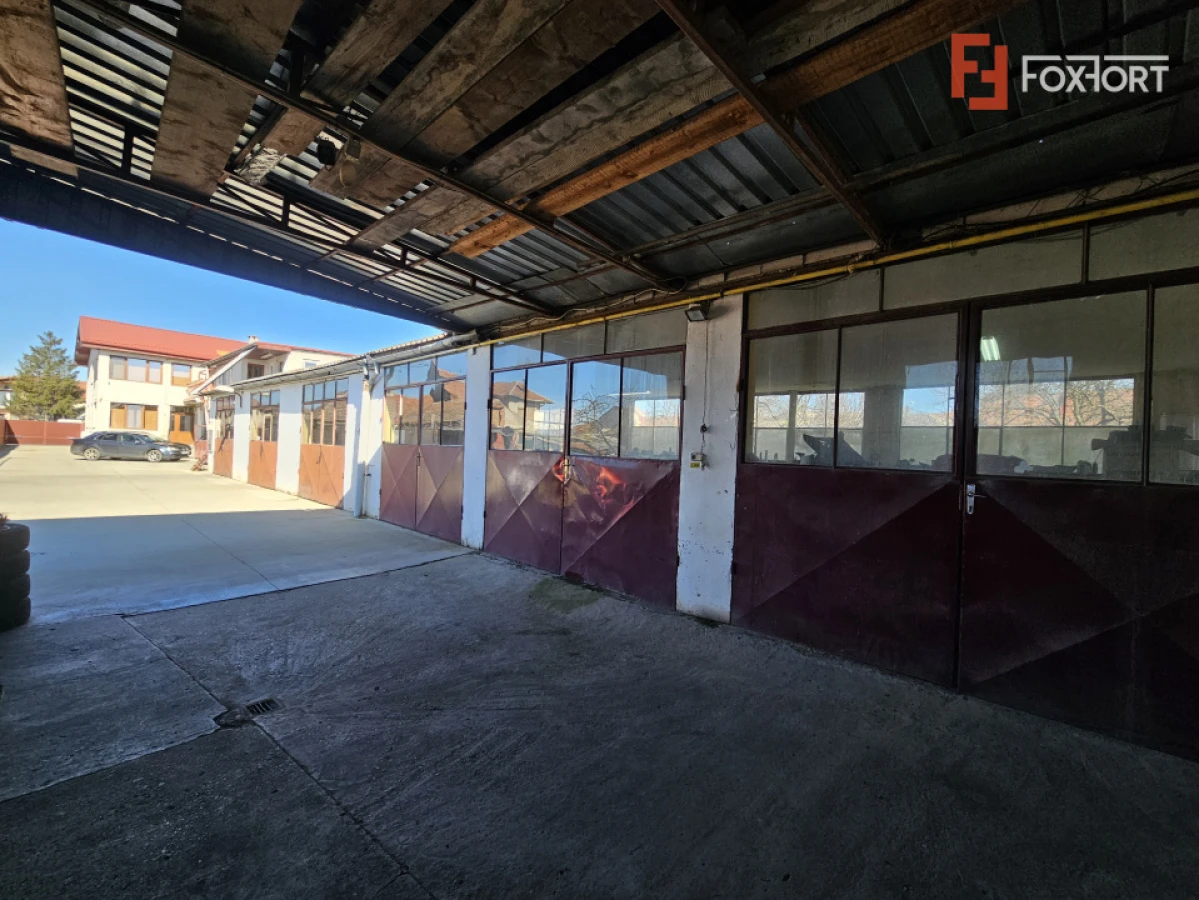 Oportunitate afacere: Spatiu industrial + Casa de locuit - Bogdanestilor - 7