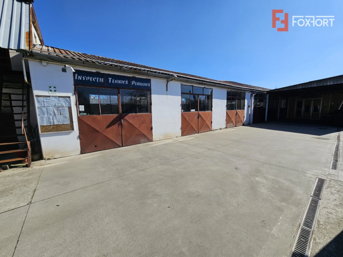 Oportunitate afacere: Spatiu industrial + Casa de locuit - Bogdanestilor - 6