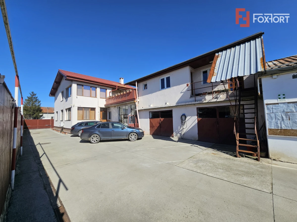 Oportunitate afacere: Spatiu industrial + Casa de locuit - Bogdanestilor - 5