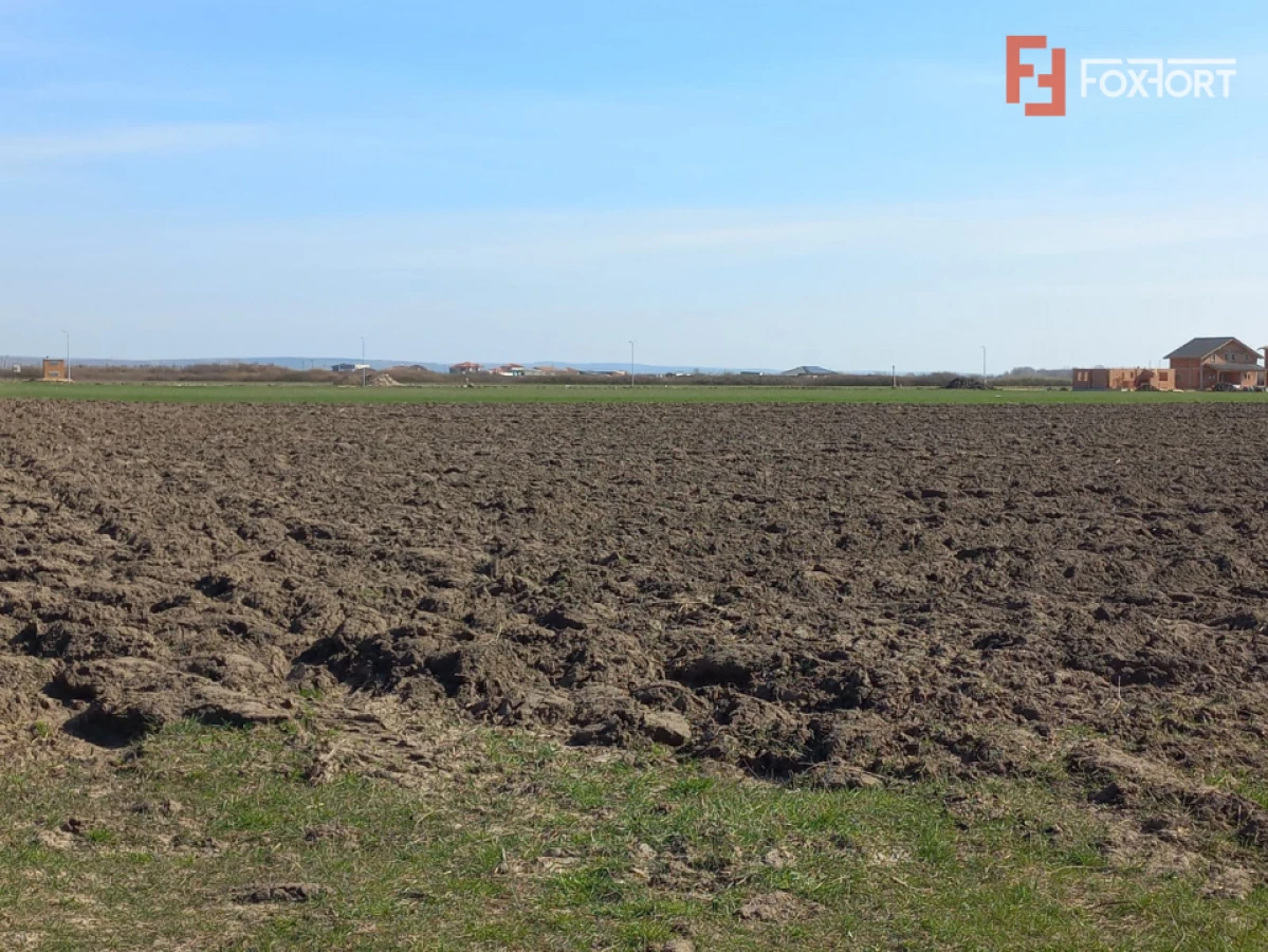 Teren intravilan – oportunitate investitie – Remetea Mare, langa Bega - 2