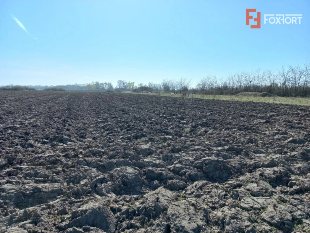 Teren intravilan – oportunitate investitie – Remetea Mare, langa Bega - 1