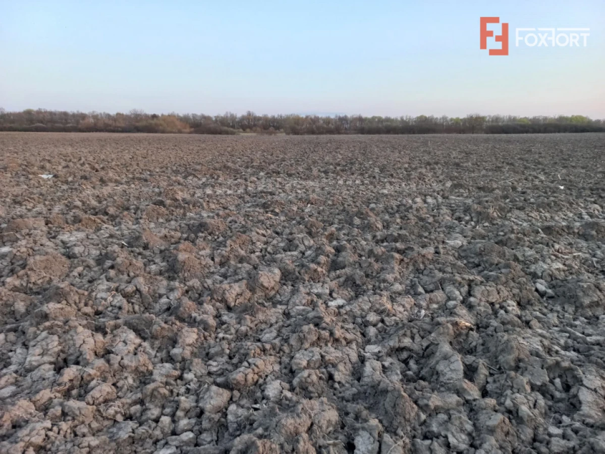 Oportunitate dezvoltare rezidentiala| 4.816 mp | Ghiroda - 1