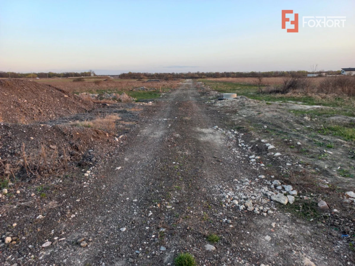 Teren extravilan industrial | 7.826 mp | 2 fronturi stradale | Ghiroda - 3