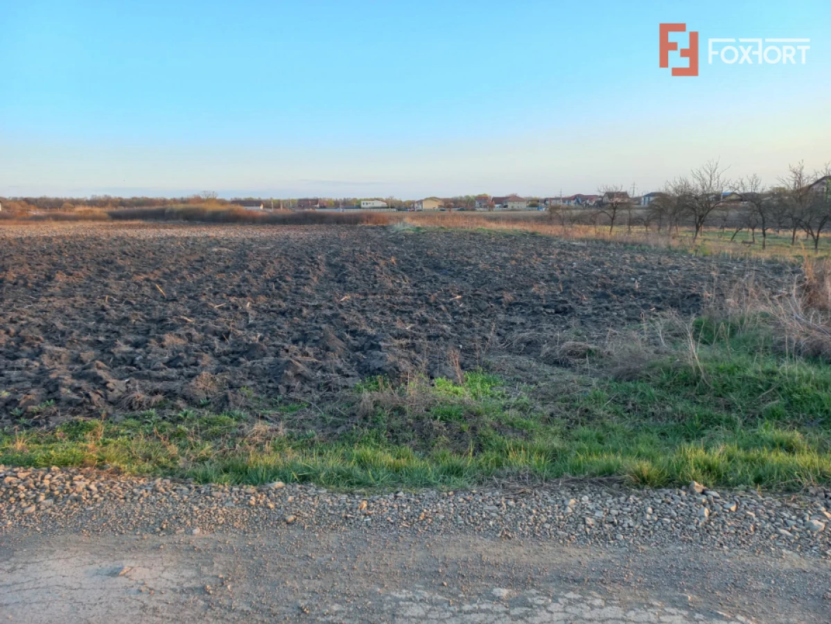 Teren extravilan industrial | 7.826 mp | 2 fronturi stradale | Ghiroda - 1