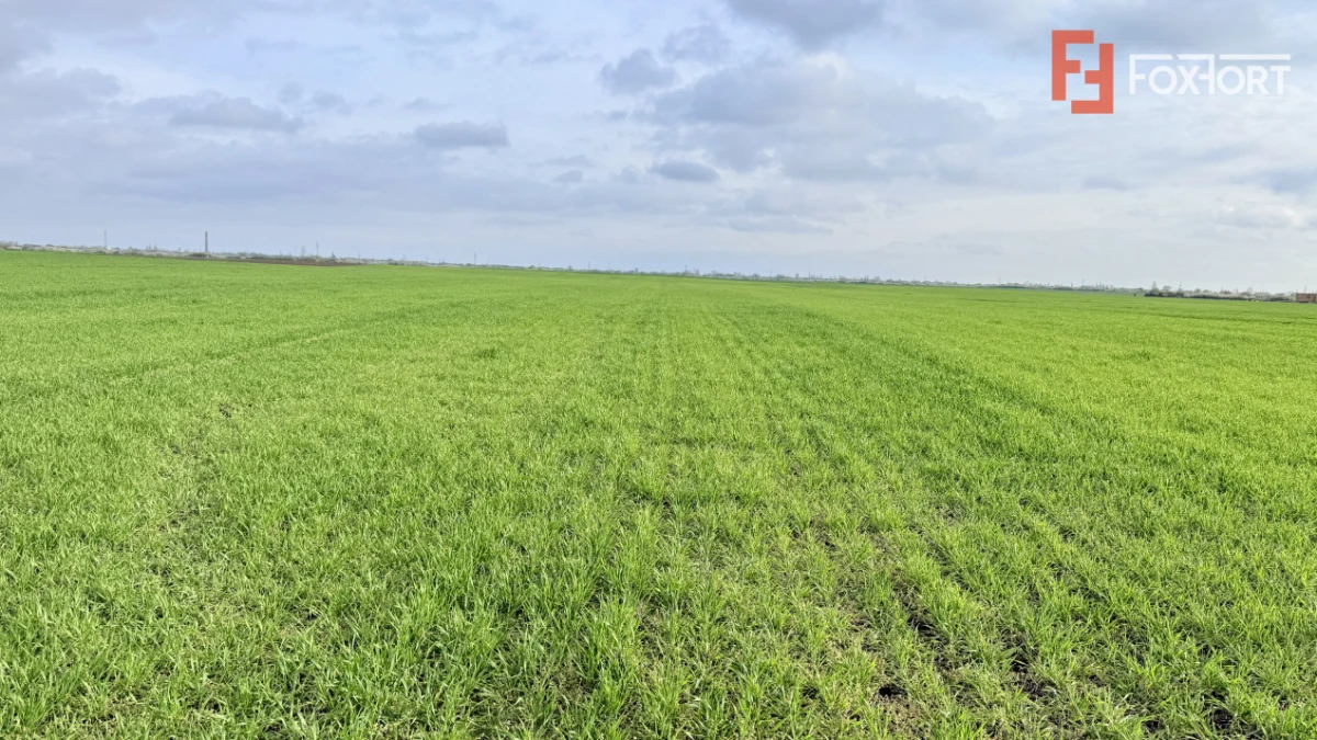 Parcela de teren intravilan de vanzare, 502 mp - Sacalaz - 5