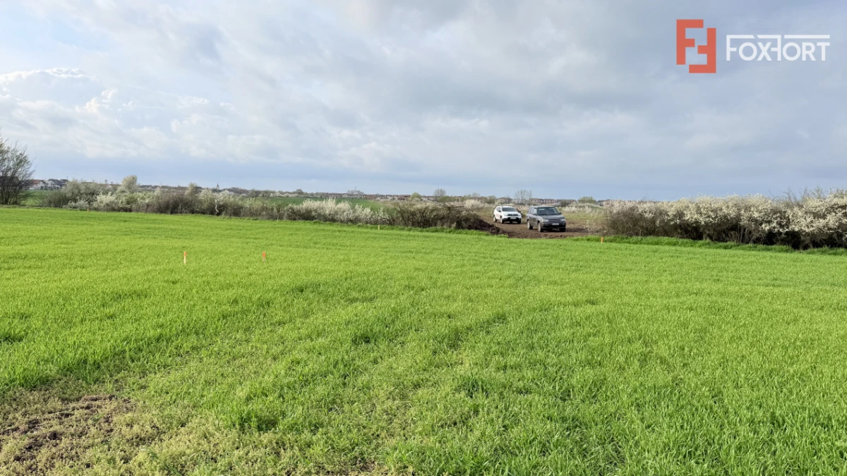 Parcela de teren intravilan de vanzare, 502 mp - Sacalaz - 4