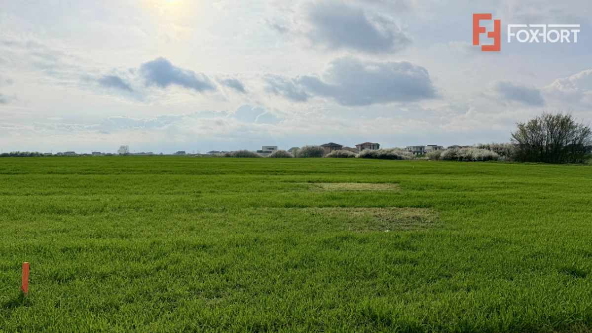 Parcela de teren intravilan de vanzare, 502 mp - Sacalaz - 3