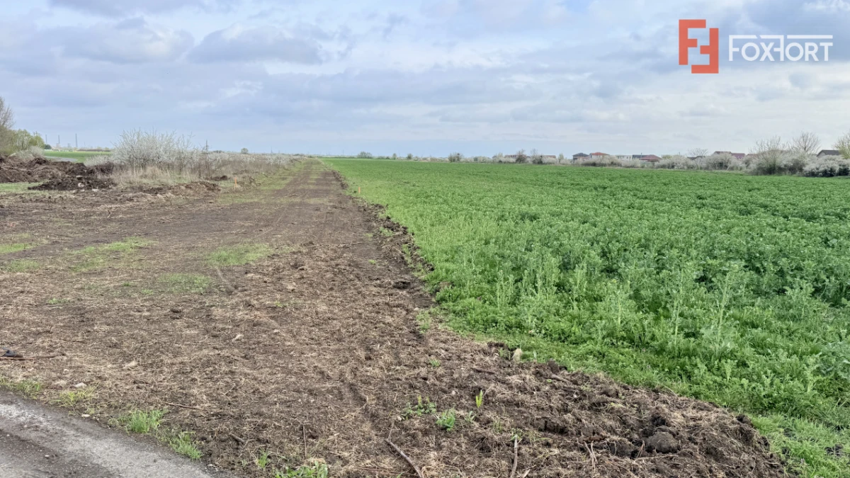 Parcela de teren intravilan de vanzare, 502 mp - Sacalaz - 2