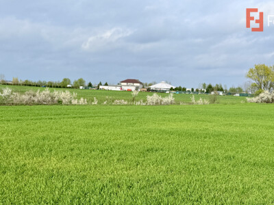 Parcela de teren intravilan de vanzare, 502 mp - Sacalaz