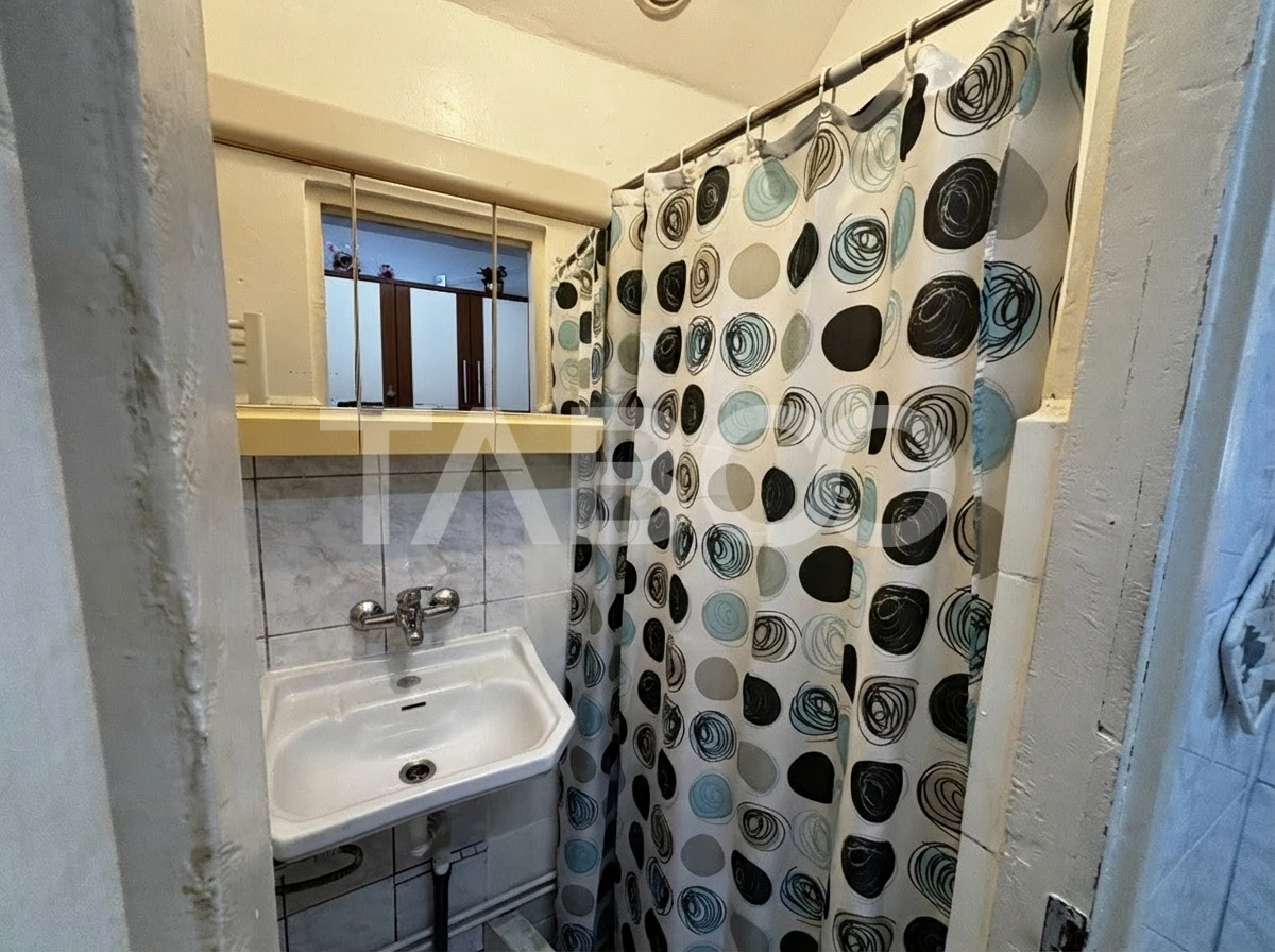 Apartament de vanzare la parter 36mp utili 2 camere zona Tiglari - 8