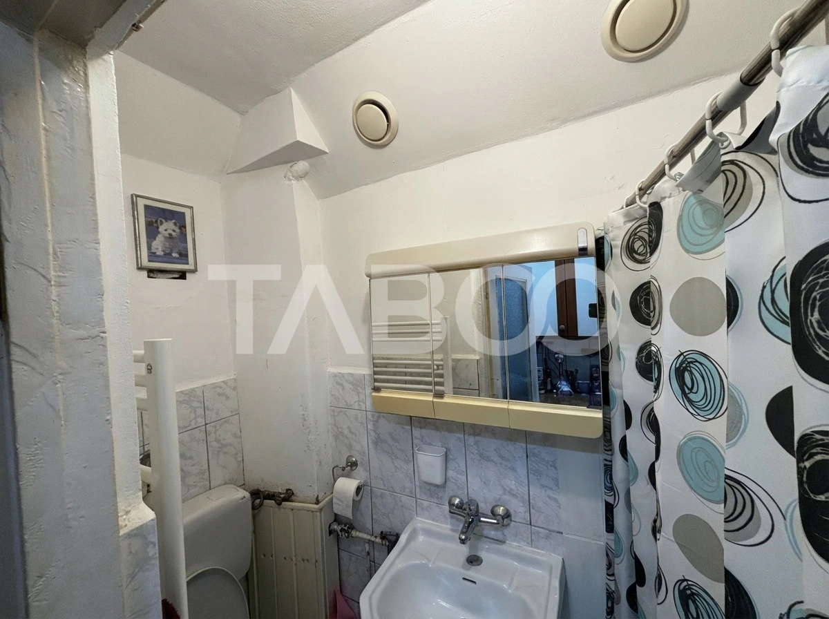 Apartament de vanzare la parter 36mp utili 2 camere zona Tiglari - 7