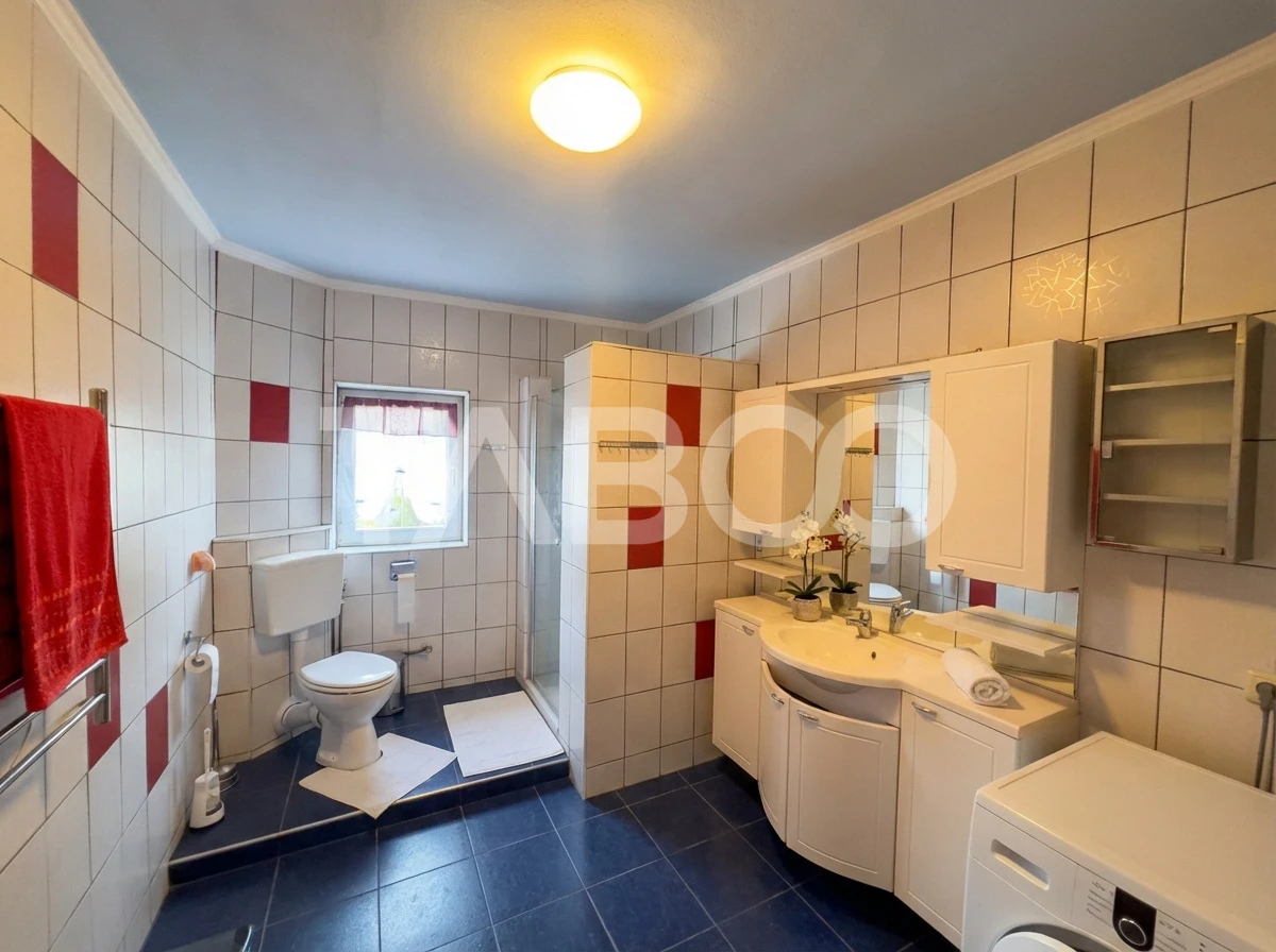 Casa individuala de vanzare cu 950mp teren Saliste zona deosebita - 10