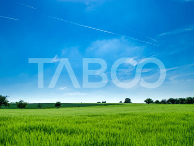 Teren de vanzare 9369 mp langa viitoarea centura Sud a Sibiului