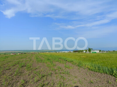 Teren 5000 mp in apropiere de case in Sura Mica - pretabil investitie