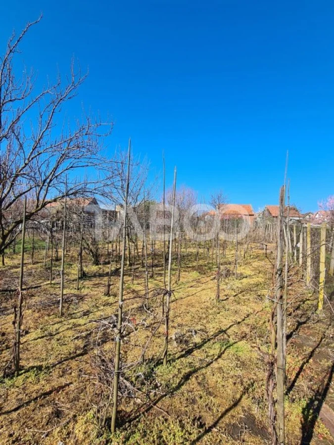 Casa de vanzare in comuna Cut Judetul Alba - 10