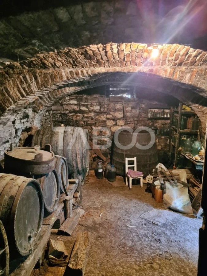 Casa de vanzare in comuna Cut Judetul Alba - 6