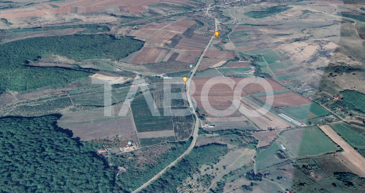 Teren extravilan de 4991 mp la strada principala in Sura Mare - 2